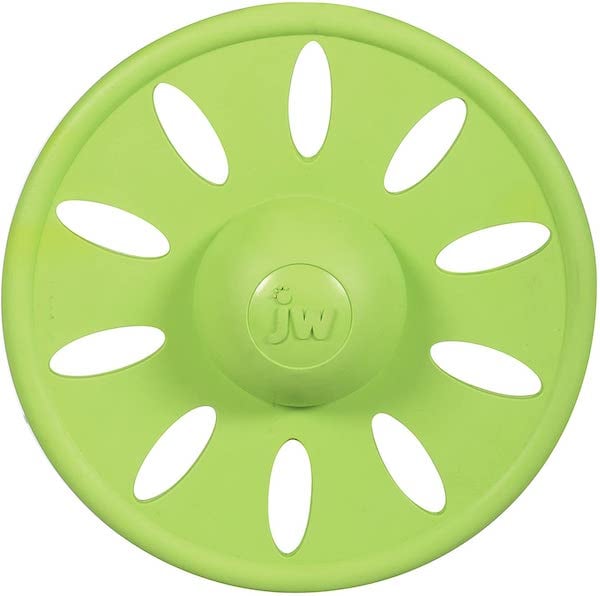 Go Fetch! Top 10 Best Fetch Toys for Your Dog